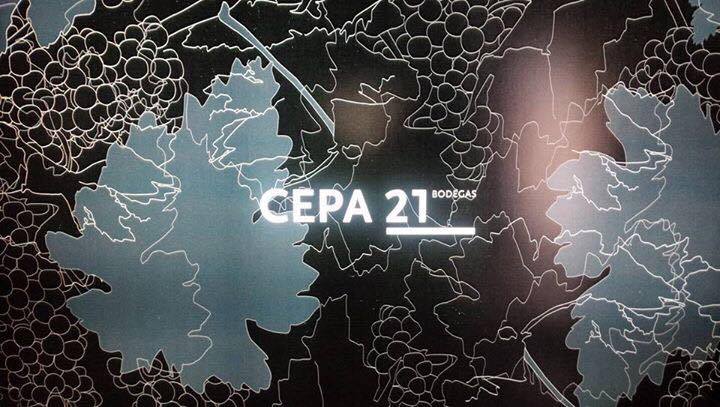 スペインのワイン銘醸地 リベラ・デル・ドゥエロ