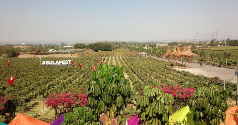 インドを代表するワイナリー　Sula Vinyardsへ行ってきました。