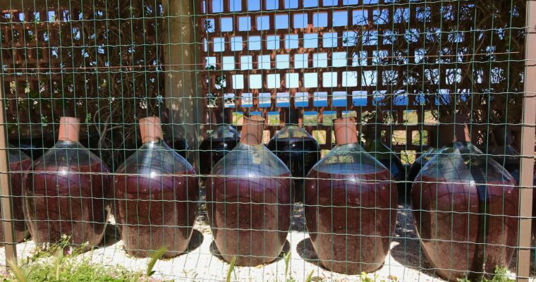 地中海を望む南仏ルーション地方のワイナリー