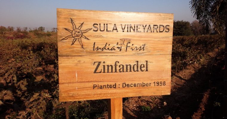 ◆終了◆　2019.1.18/19 新春特別企画・カリフォルニアワイン【ジンファンデル】10本飲み比べ