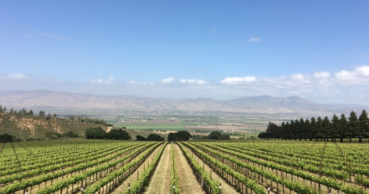 ◆終了◆ 2019.07.12   カリフォルニアワインをプロ講師と味わう会